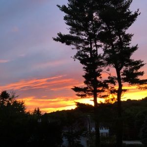 Meet your Posher, Isabella